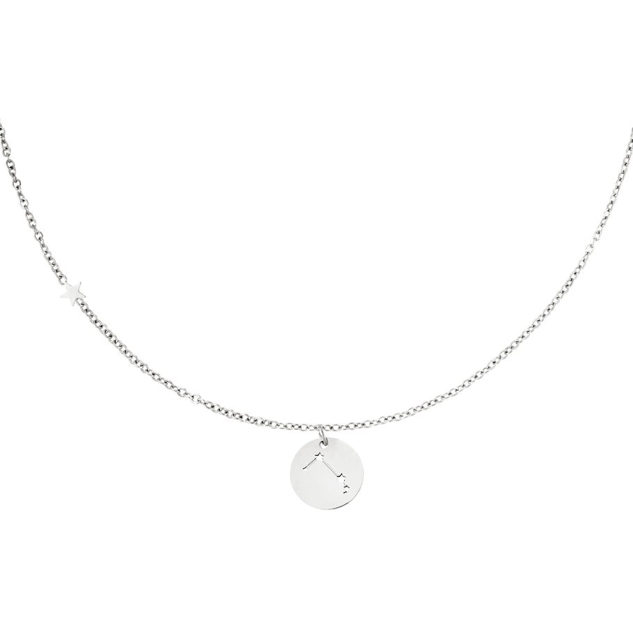 Collar signo del zodíaco Aries Plata Acero inoxidable Imagen5
